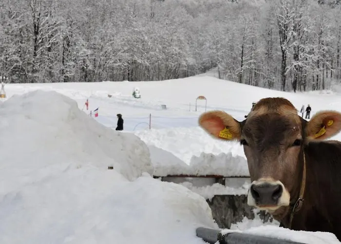 Blue Note Vakantiehuis Schoppernau